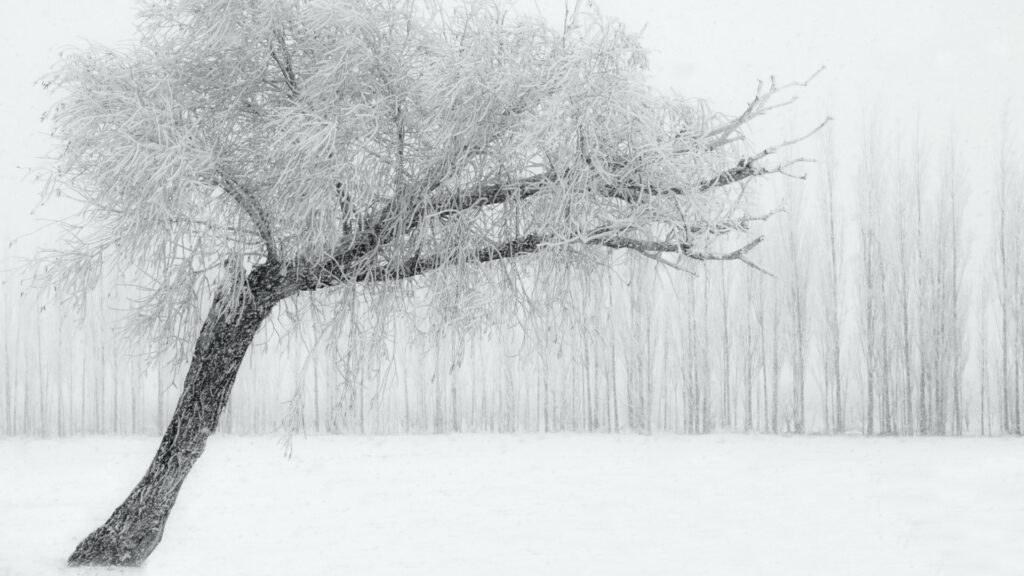 Winter Storm Safety